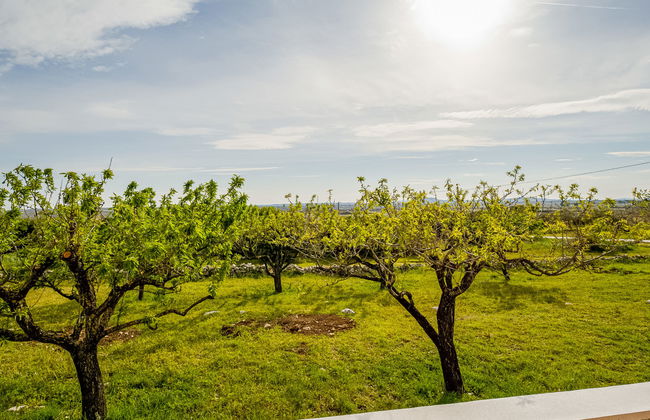 Villa Laura - Foto 33