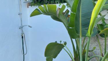 Casa Stewart - Levante - Foto 3, Shower