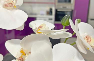 Reformado. Plaza de Toros. A/C - Photo 6