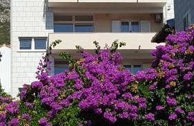 Apartments Laus - Foto 2