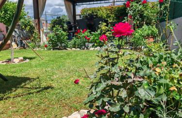 Verdeacquassisi - Photo 30