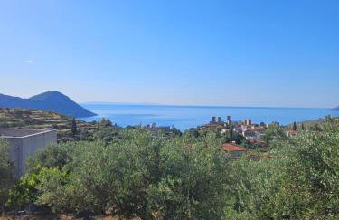 Studio Tsiliviani - Foto 2