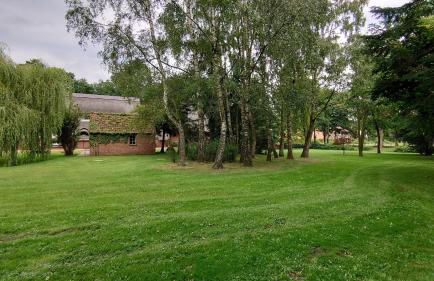 De Tuun - Landhaus Lübbertsfehn - Foto 20