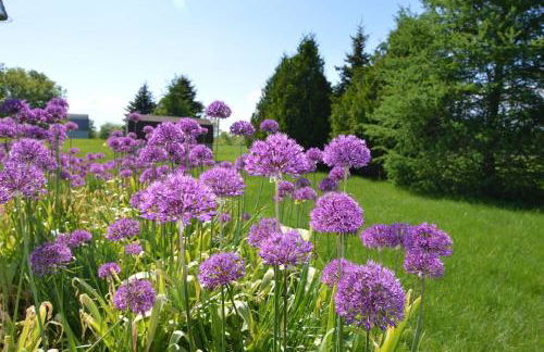 Carraig Nua House - Foto 12