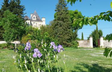 Au cœur des châteaux et des vignobles de la Loire - Foto 14