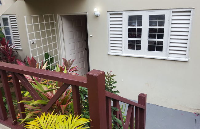 Beautiful Tallyman - Foto 9