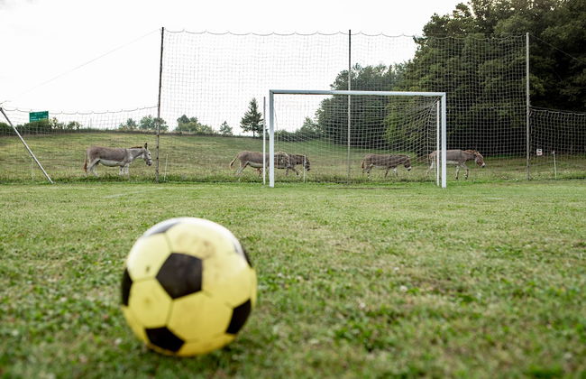 EkoTurizem Hudičevec - Photo 33