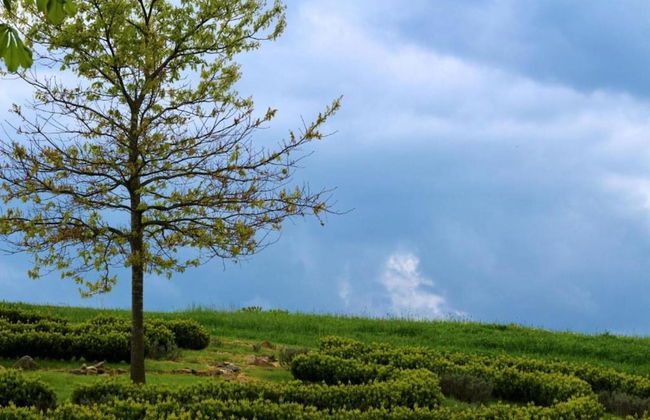 Family-friendly Forest Home - Foto 37