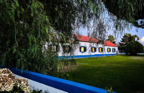 Quinta do Cutato - Beatriz Guest House - Sotão - Foto 20