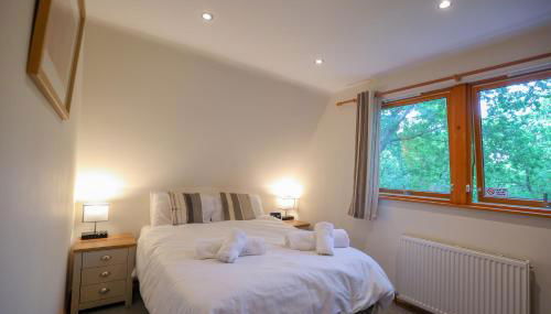 Lodge Nine for 6 with Hot Tub - Spa Resort in Devon - Foto 4