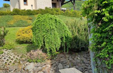 Morycówka - Foto 26