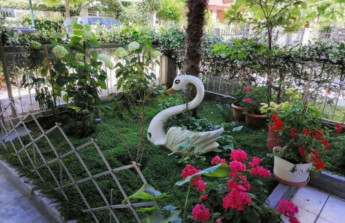 APARTMENTS HARIS - Foto 50