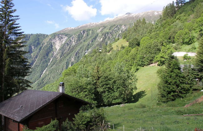 Glacier Views & Ski Trails - Foto 17