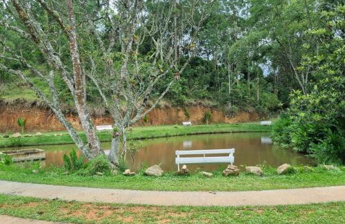 Sítio com Casa de Madeira com 2 quartos 100m2 px Centro de Salesópolis - Foto 26