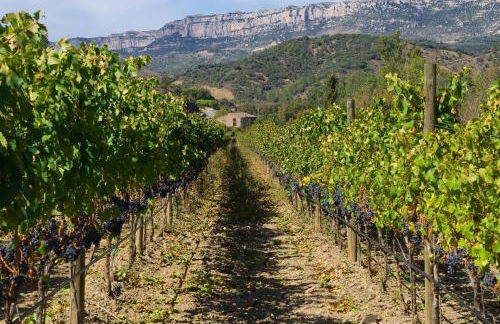 Apartaments la Rambla - L'Arrel - 4 persones - Foto 31