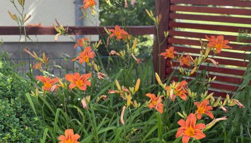 Ferienwohnung Neustrelitz - Foto 3