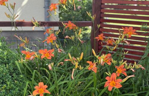 Ferienwohnung Neustrelitz - Foto 3