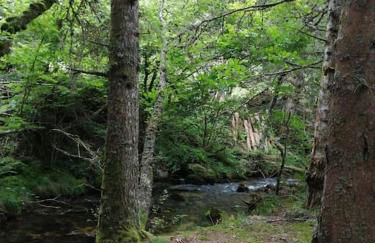 Le Chalet des Forêts Enchantées - Foto 33