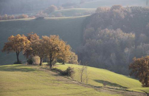 L'Isola Che Non C'era - Foto 15