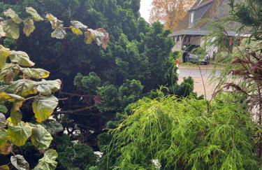 Gemütliches Ferienhäuschen - Foto 12