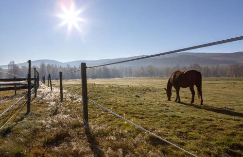 Osada Jeździecka Bata - Photo 20