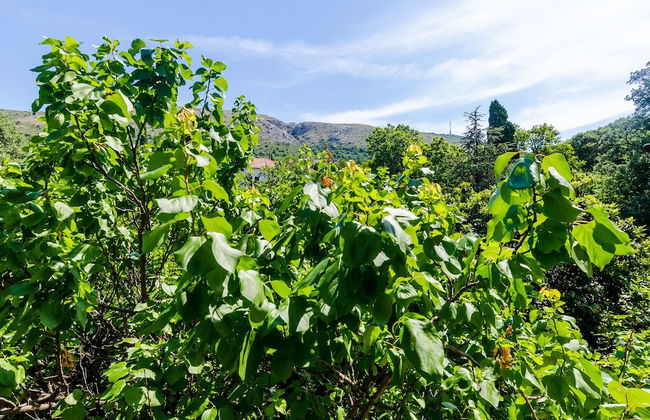 Apartments Eos & Vespera - Foto 47