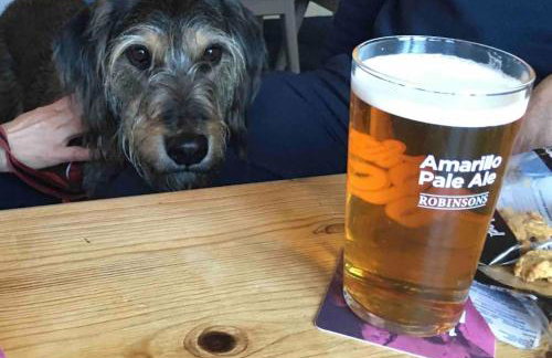 Benllech Sea View bungalow, Dog Friendly sleeps 6 - Foto 20