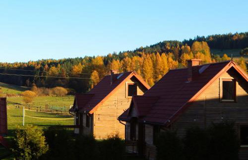 Caloroczne Domki w Gorach"ALEKSANDER" - Foto 61