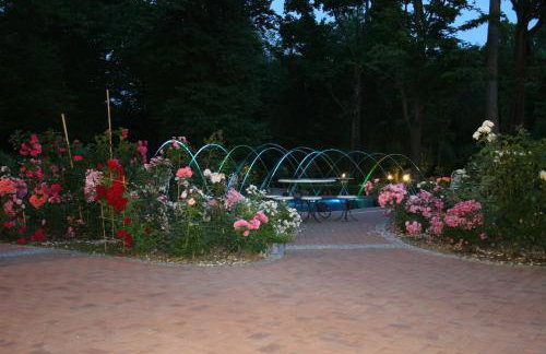 Willa Różana - Foto 19