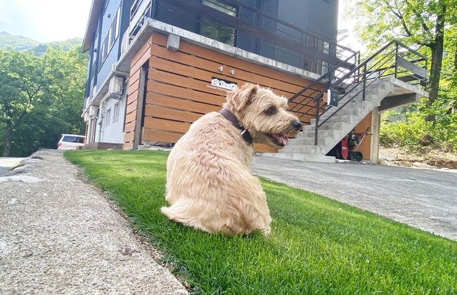 Hakuba Powder Mountain - Foto 75