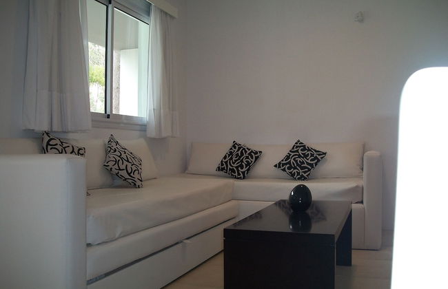 Avutarda de Carilo - Photo 25