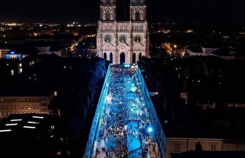 Appartement haussmannien au cœur d Orléans - Foto 27