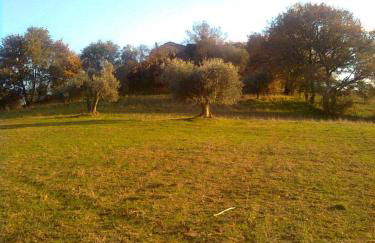 Agriturismo La Carletta - Foto 66