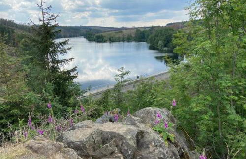 Ferienhaus mit Wellnessbereich in Elend - Foto 29