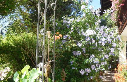 Haus Aigner - Foto 6