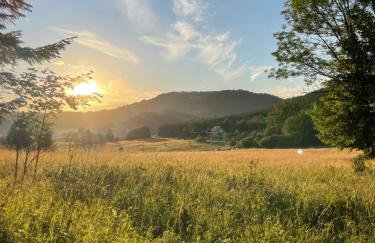 Mr. Sowa Sokolec - Foto 33