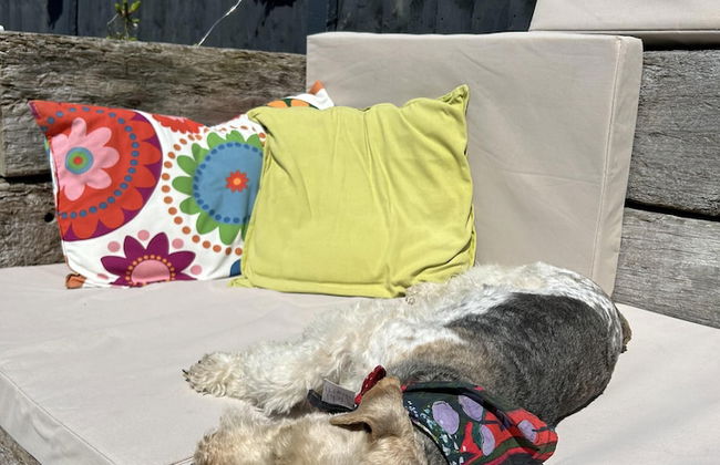 Stylish 1-bed Studio in Humberston, Cleethorpes - Foto 20