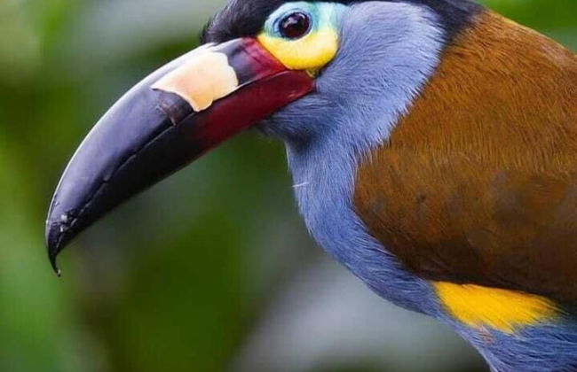 Balcón Tumpiki - Photo 14