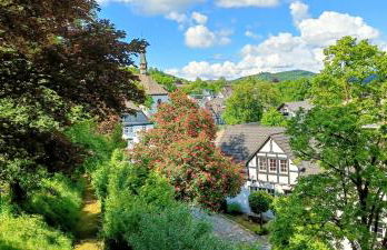 FeWo Eslohe - Foto 41