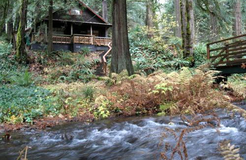 Secluded Forest Cabin in Rhododendron near Mt Hood Village in Oregon - Foto 16