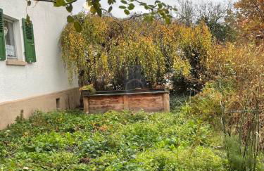 Pretty half-timbered cottage on romantic yard - Foto 30