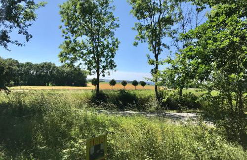 Bungalowpark am Salzhaff - Foto 21