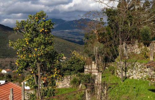 Britelo 1828 - Refúgio na Natureza - Foto 25