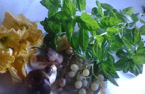 The Bergamot - Foto 13