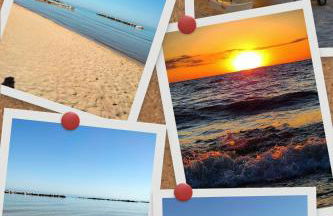 Flora house - Foto 47