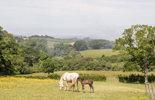 The Stables - Foto 17