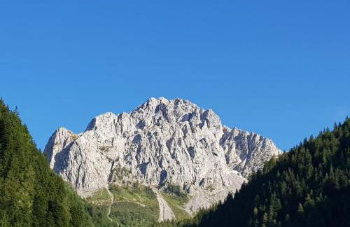 Stella alpina - Foto 14