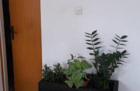 MERICA Kneže - Foto 27