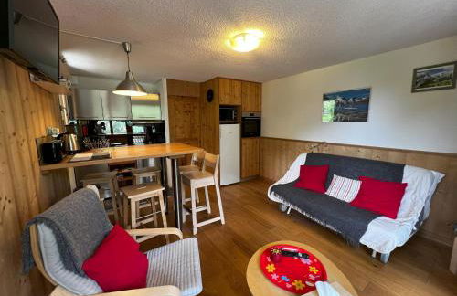 Appartement lumineux, grand balcon, vue sur La Meije - Photo 17