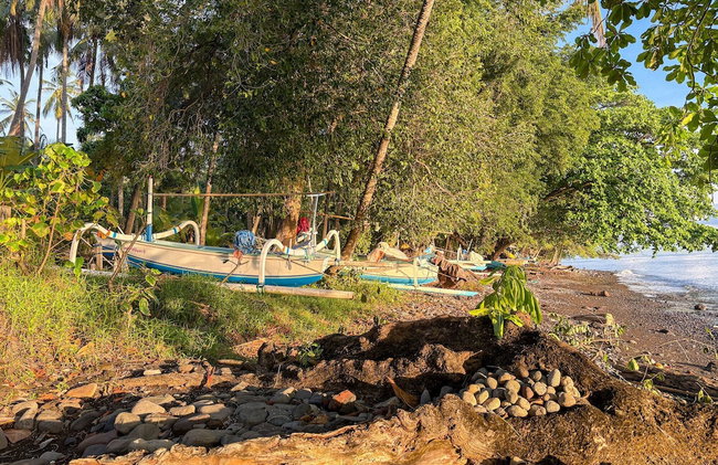 Devi's Place Tejakula - Foto 52